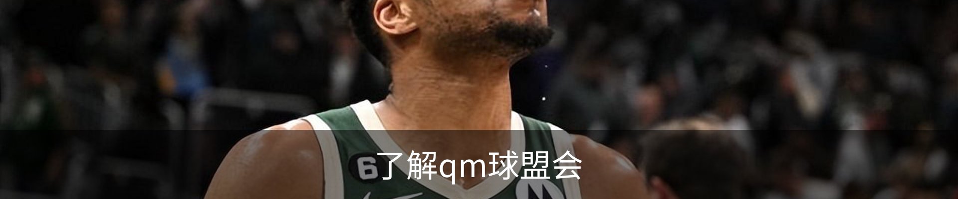 了解qm球盟会
